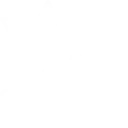 vuejs icon